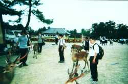 Nara-koen